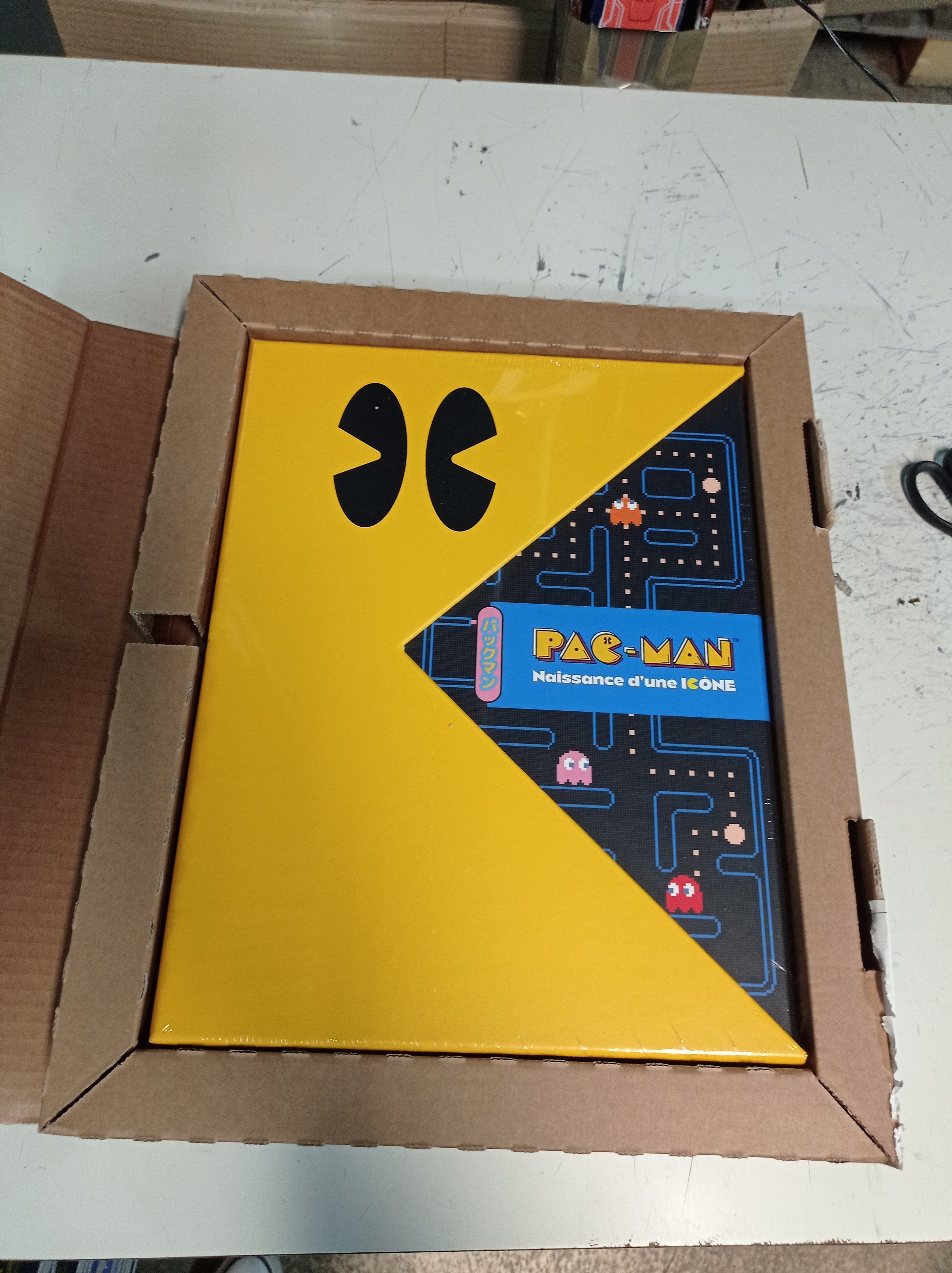PAC-MAN : Naissance d'une icône (Collector)