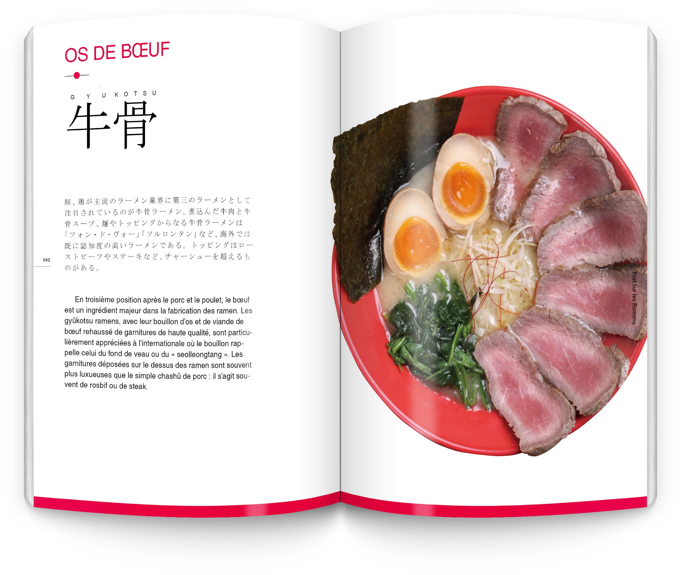 Le guide des ramens