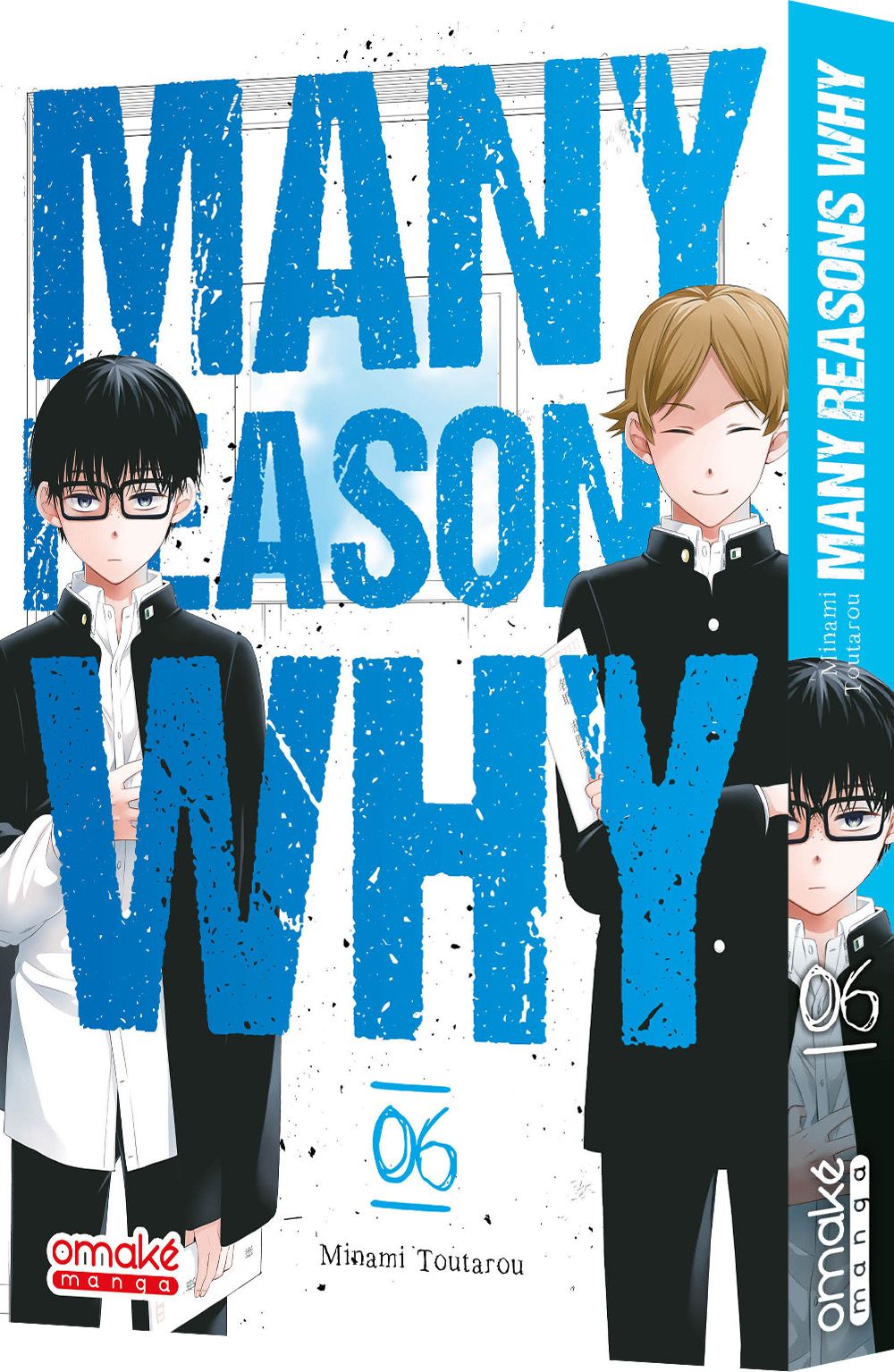 L'intégrale Many Reasons Why 9 tomes