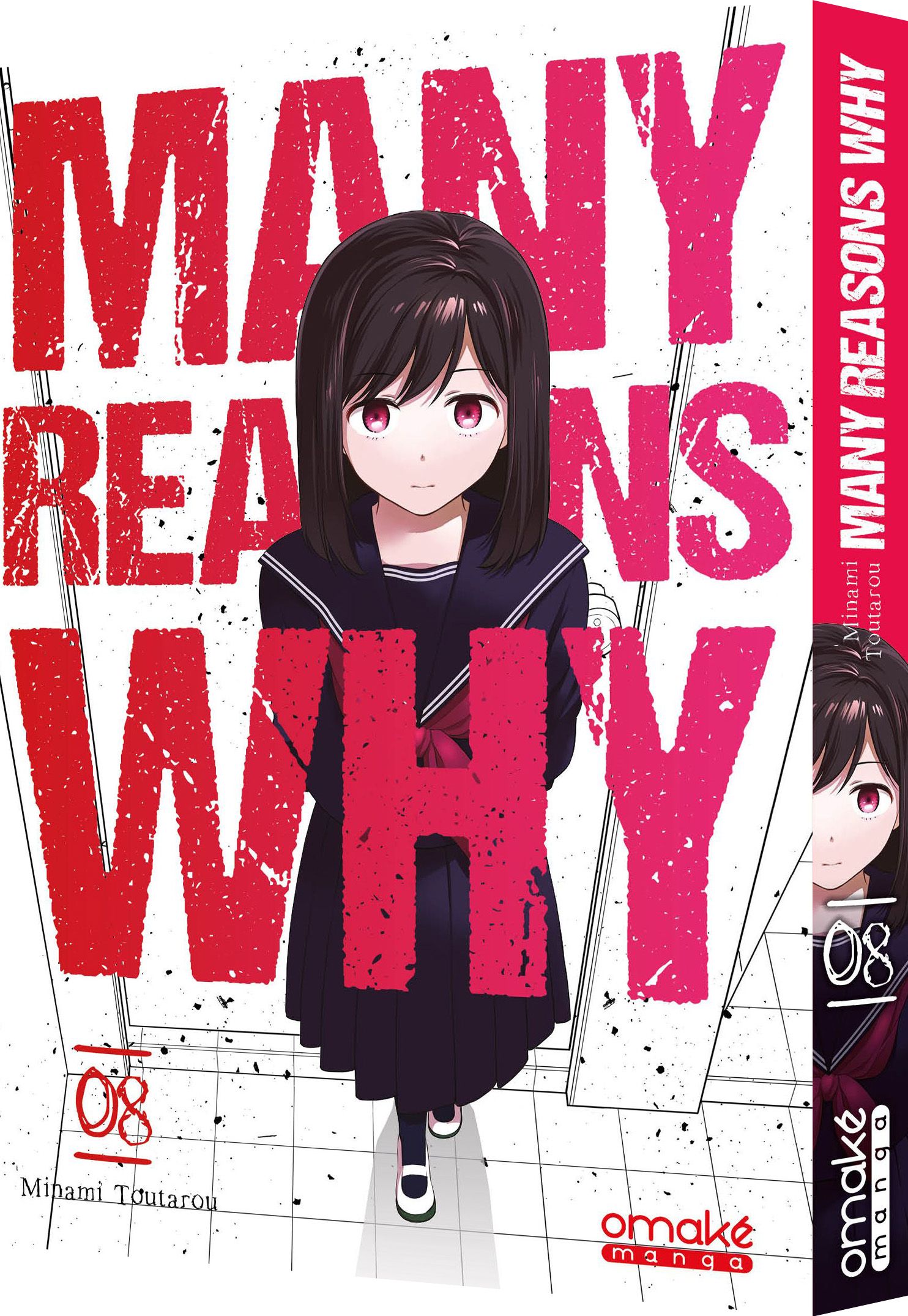 L'intégrale Many Reasons Why 9 tomes