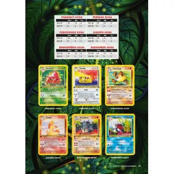 La Folie des cartes Pokémon #2 - HS Collectionneur & Chineur