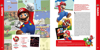 Les Plus Grands Héros du Jeu Vidéo