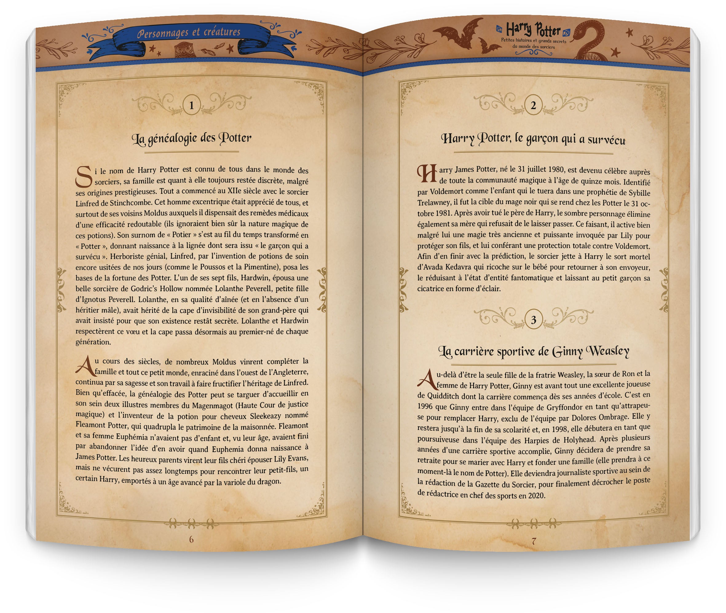 Harry Potter - Le coffret du sorcier