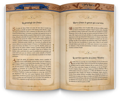 Harry Potter - Le coffret du sorcier