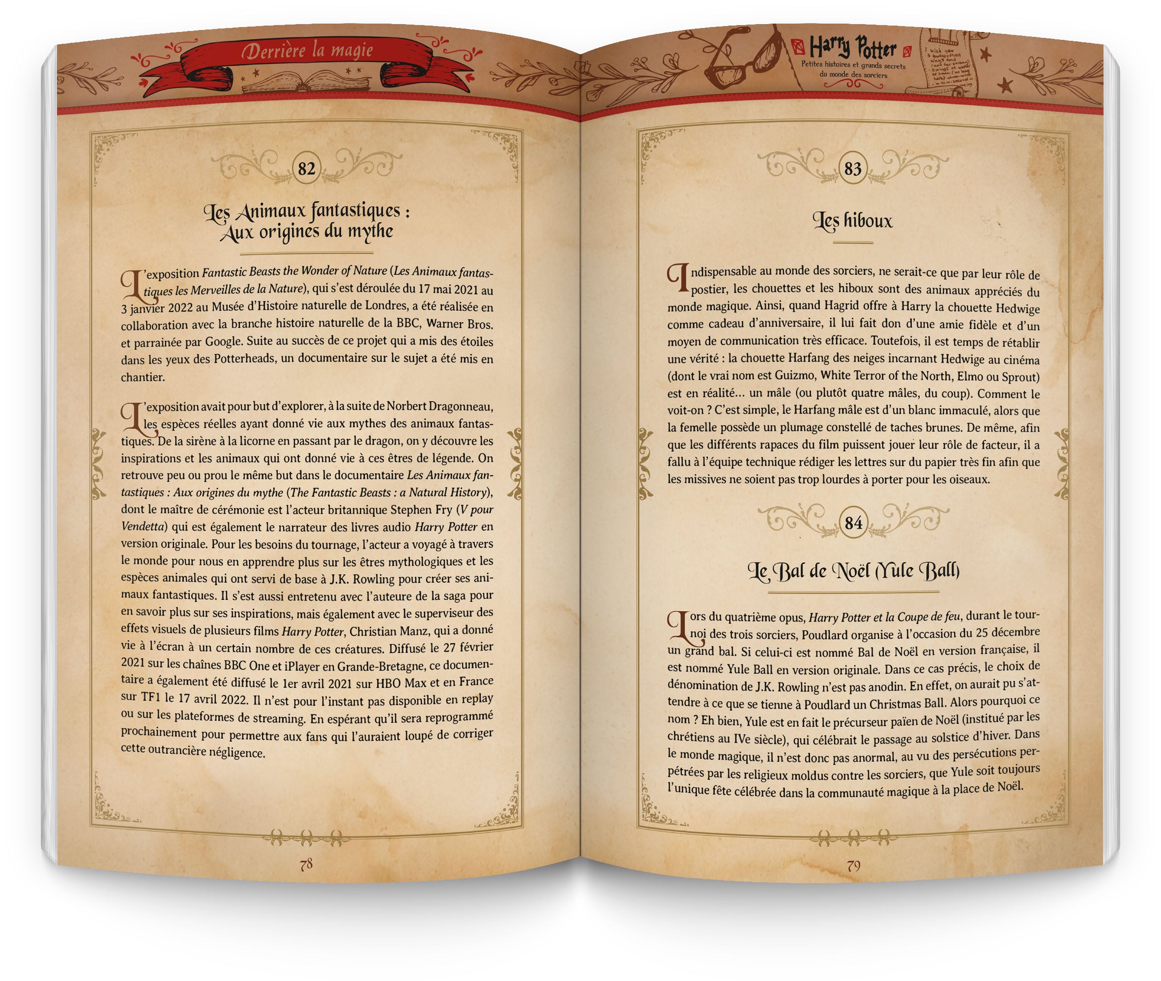 Harry Potter - Le coffret du sorcier